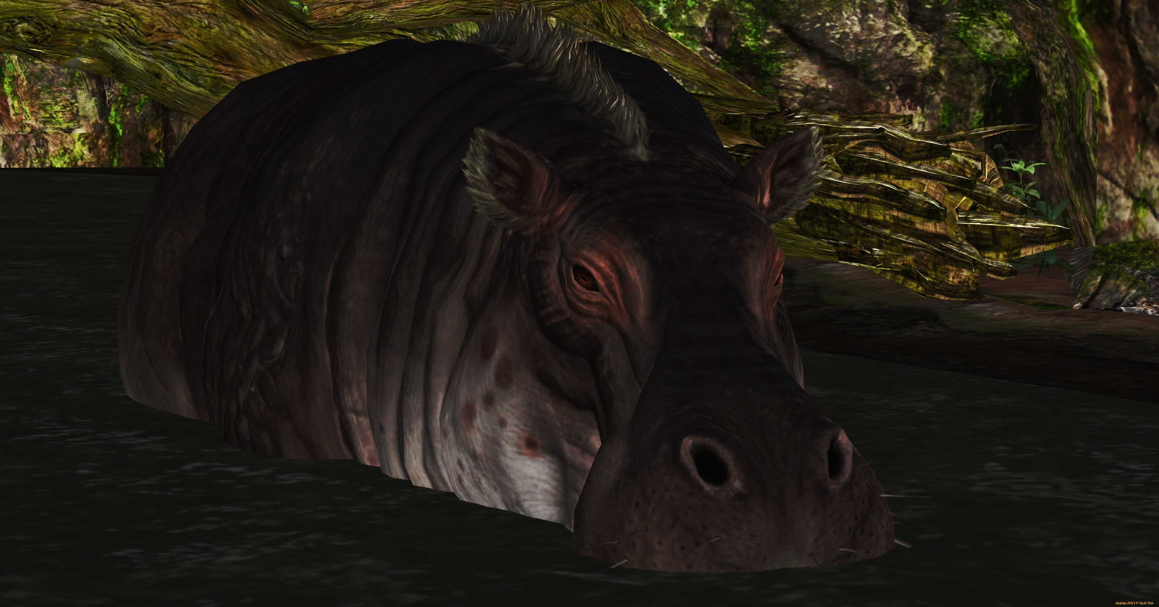 3 ,  , animals, 